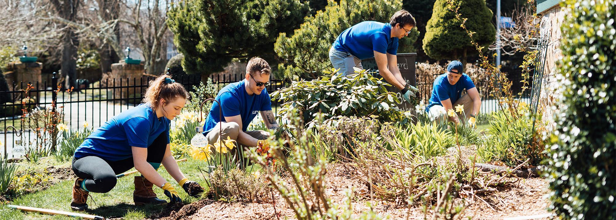 people doing yard work