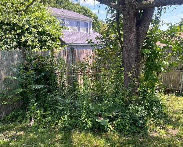 Garden Bed Maintenance before
