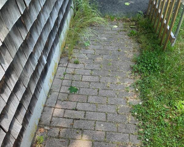 Garden Bed Maintenance before
