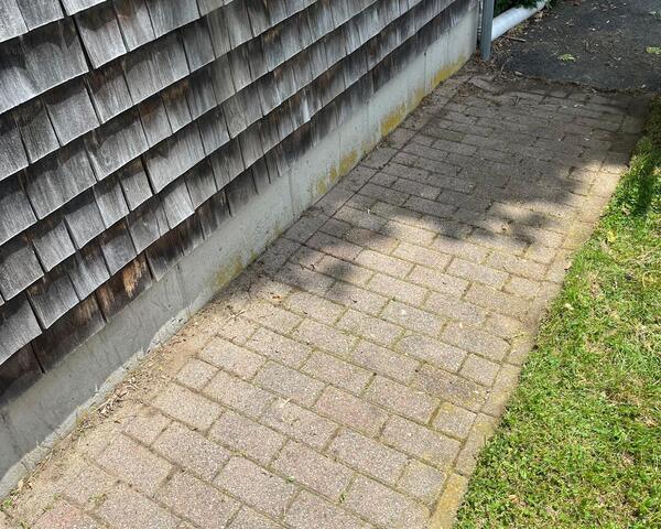 Garden Bed Maintenance after