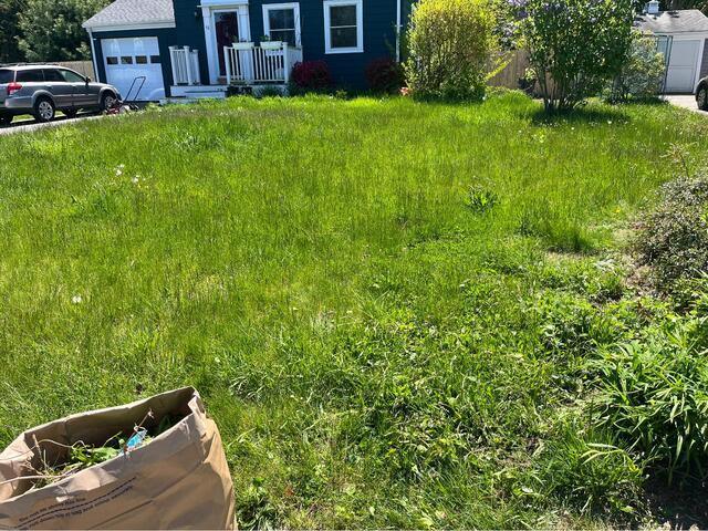 Lawn Mowing before