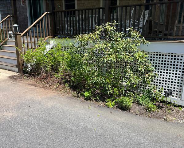 Garden Maintenance after