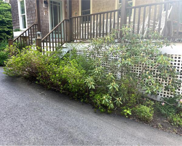 Garden Maintenance before