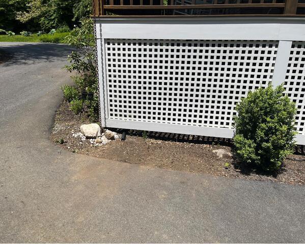 Garden Maintenance after