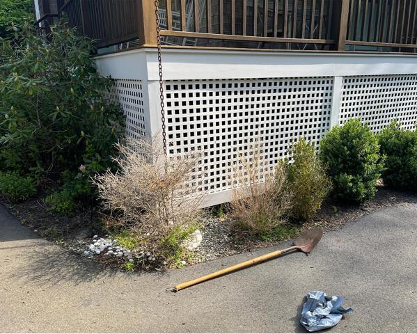 Garden Maintenance before