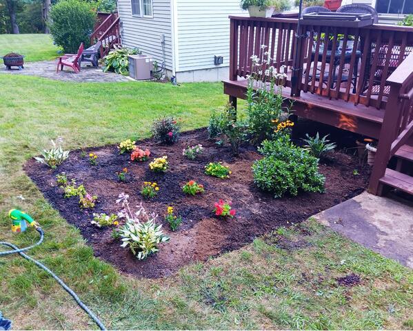 Garden Bed Creation after