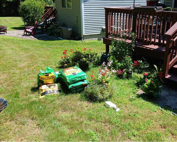 Garden Bed Creation before