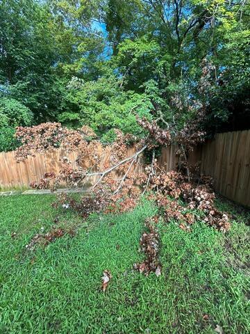 Debris Clean-Up & Fence Repair before