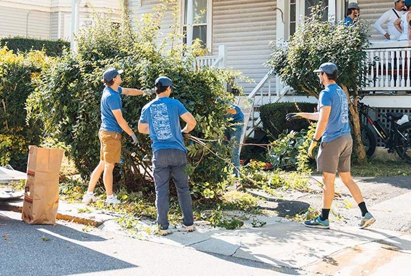 A crew trimming hedges