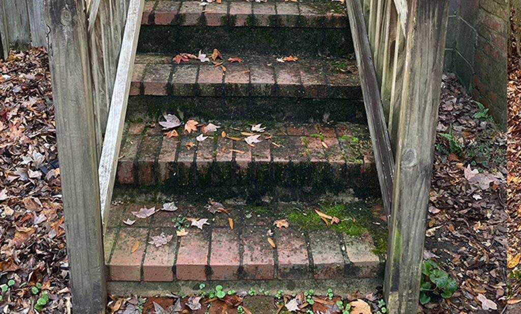 Before - dirty front steps